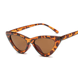 Cute Sexy Vintage Cat Eye Sunglasses Woman Small Black White Triangle Retro Ladies Sun Glasses Leopard Female Oculos De Sol