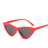 Classic Fashion Ladies Small Triangle Sunglasses Retro Fashion Sunglasses Small Frame Sexy Sunglasses